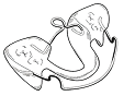 R-Appliance